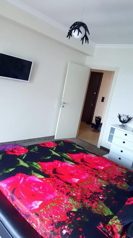 Apartment Solid House Mamaia